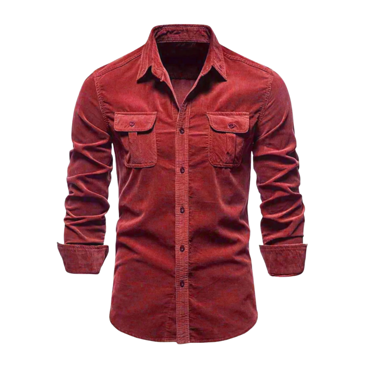 Collared Neck Button Down