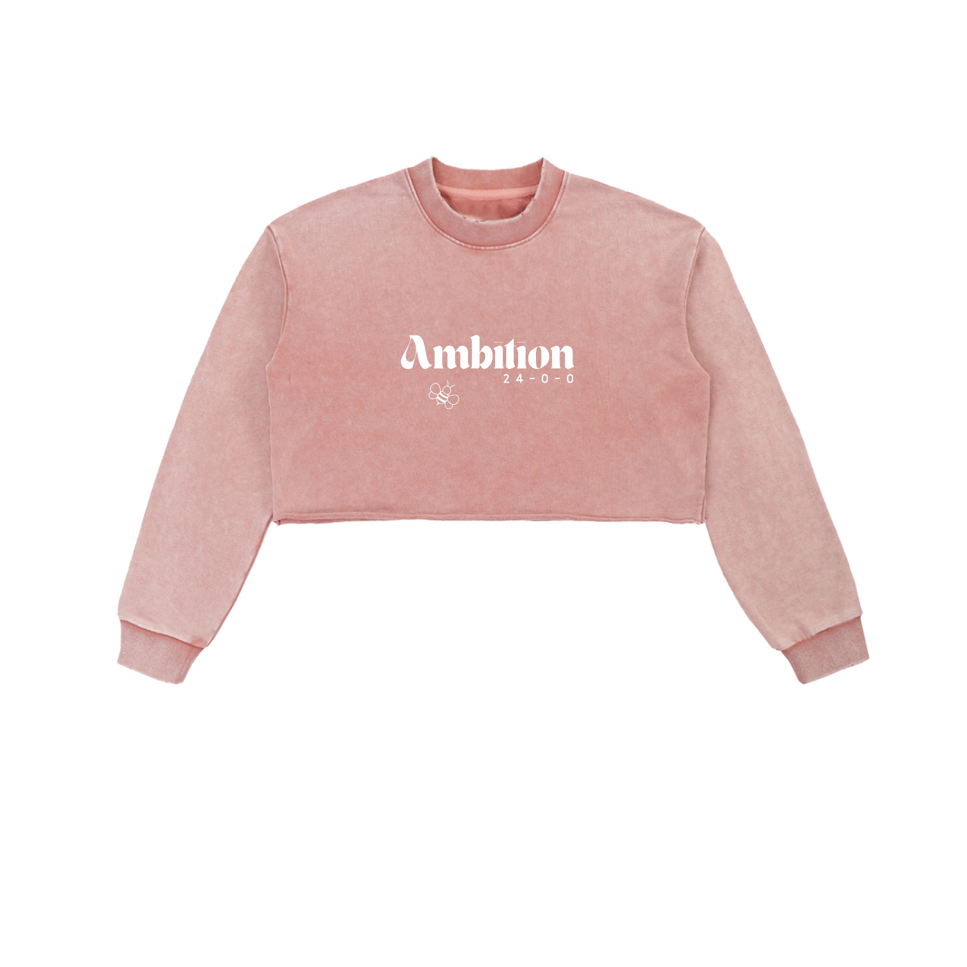 Snow washed sweatshirt,cropped sweatshirt,, raw edge sweatshirt,women’s cropped top,,lightweight sweatshirt,soft washed pullover,,modern cropped fleece, distressed style sweatshirt,,, cozy cropped sweater,,snow wash hoodie alternative